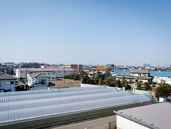 写真6