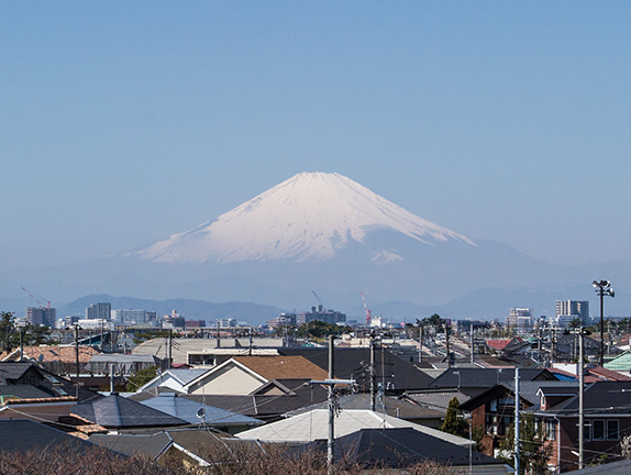 写真5